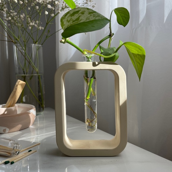 Propagation Vase - Picture 3 of 9